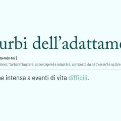 Disturbi dell'adattamento: una reazione intensa a eventi di vita difficili. La definizione spiega l'origine della parola.