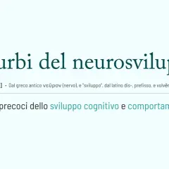 Disturbi del neurosviluppo: alterazioni precoci dello sviluppo cognitivo e comportamentale. La definizione esplora le origini del termine.