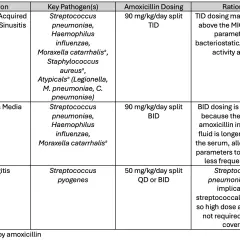 Tabella dosaggio amoxicillina per bambini: gramplus supposte per polmonite, sinusite, otite media e faringite.