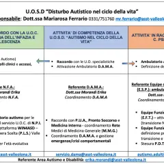 Schema dei diversi tipi di autismo e delle attività correlate, con riferimenti e contatti.
