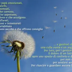 Soffione con semi al vento, metafora del lutto perinatale e del percorso dei genitori verso il conforto e la speranza.