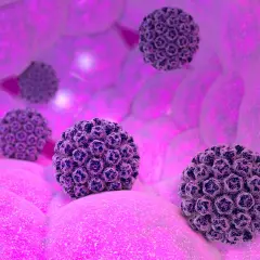 Condilomi uomo: rappresentazione 3D di virus HPV che causano condilomi, in un ambiente biologico rosa.