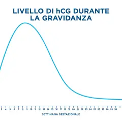 Grafico che mostra l'andamento del beta hCG durante la gravidanza, con un picco intorno alla 9-10 settimana.