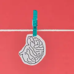 Un cervello stilizzato, appeso a un filo con una molletta turchese, evoca un effetto Flynn inverso, suggerendo un declino intellettuale.