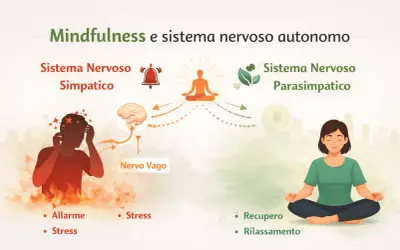 Mindfulness e sistema nervoso autonomo: da un lato allarme e stress, dall'altro recupero e rilassamento.