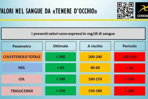 Tabella valori sangue: colesterolo totale, HDL, LDL, trigliceridi. Indica livelli ottimali, a rischio e pericolosi per il rapporto colesterolo totale e HDL.