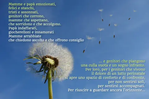 Soffione con semi al vento, metafora del lutto perinatale e del percorso dei genitori verso il conforto e la speranza.