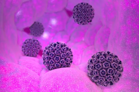 Condilomi uomo: rappresentazione 3D di virus HPV che causano condilomi, in un ambiente biologico rosa.