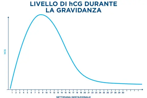 Grafico che mostra l'andamento del beta hCG durante la gravidanza, con un picco intorno alla 9-10 settimana.