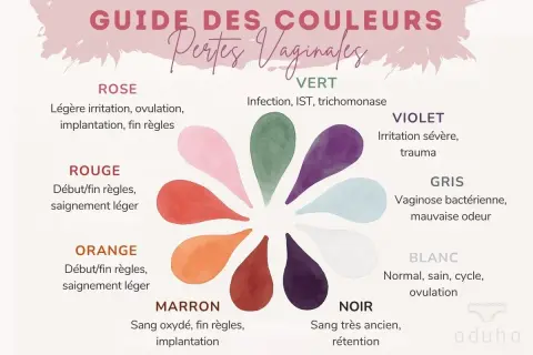 Guida ai colori delle perdite vaginali: il bianco indica normalità, ciclo e ovulazione.