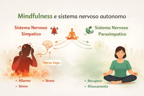 Mindfulness e sistema nervoso autonomo: da un lato allarme e stress, dall'altro recupero e rilassamento.