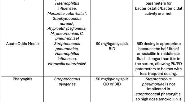 Tabella dosaggio amoxicillina per bambini: gramplus supposte per polmonite, sinusite, otite media e faringite.