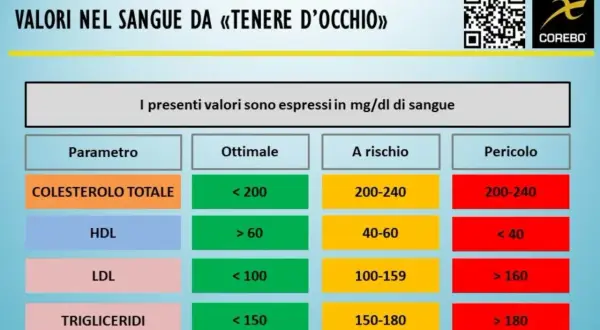 Tabella valori sangue: colesterolo totale, HDL, LDL, trigliceridi. Indica livelli ottimali, a rischio e pericolosi per il rapporto colesterolo totale e HDL.
