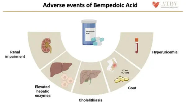 Effetti avversi dell'acido bempedoico: danno renale, epatico, calcoli biliari, gotta e iperuricemia.