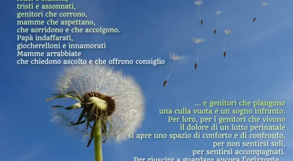 Soffione con semi al vento, metafora del lutto perinatale e del percorso dei genitori verso il conforto e la speranza.