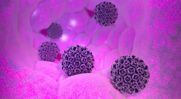Condilomi uomo: rappresentazione 3D di virus HPV che causano condilomi, in un ambiente biologico rosa.