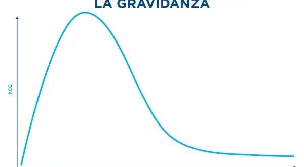 Grafico che mostra l'andamento del beta hCG durante la gravidanza, con un picco intorno alla 9-10 settimana.