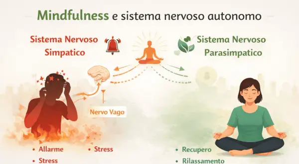 Mindfulness e sistema nervoso autonomo: da un lato allarme e stress, dall'altro recupero e rilassamento.