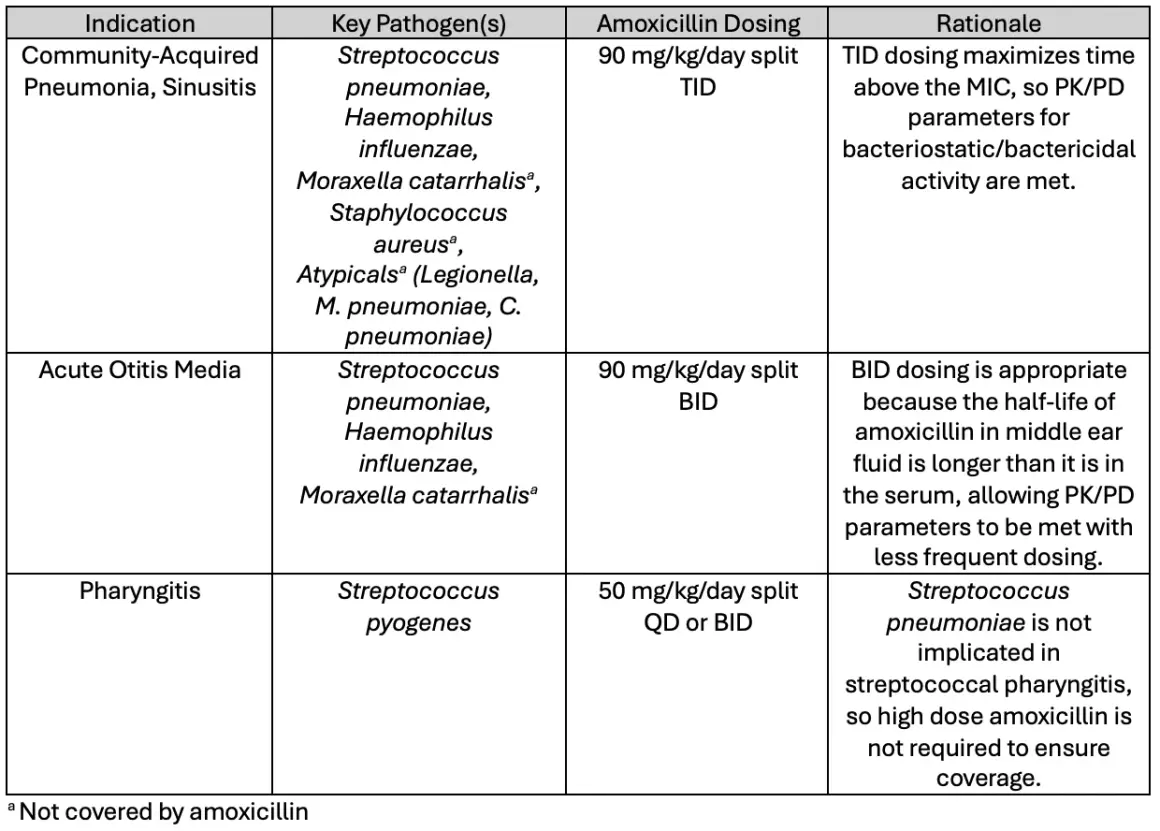 Tabella dosaggio amoxicillina per bambini: gramplus supposte per polmonite, sinusite, otite media e faringite.