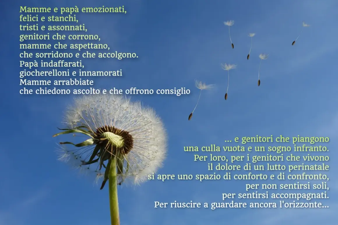 Soffione con semi al vento, metafora del lutto perinatale e del percorso dei genitori verso il conforto e la speranza.