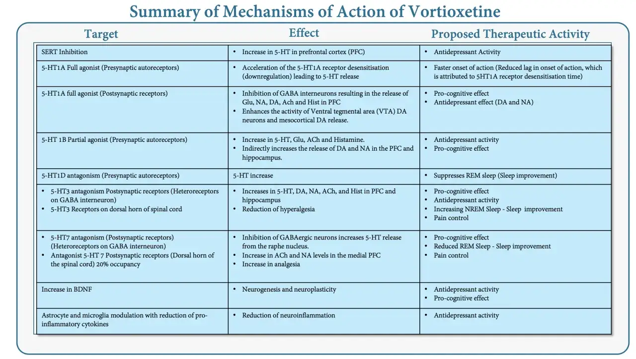 Schema dei meccanismi d'azione di Vortioxetina, con effetti e attività terapeutiche proposte. Alcuni brintellix effetti collaterali sono legati alla modulazione dei recettori.
