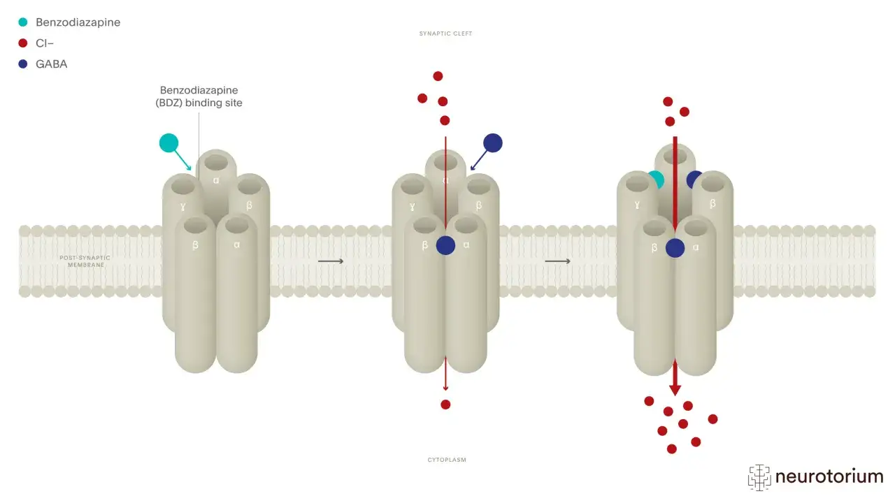 Illustrazione del meccanismo d'azione delle benzodiazepine, farmaci che agiscono sui recettori GABA, modificando il flusso di ioni Cl-.