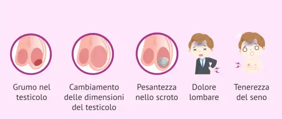 Dolore al testicolo sinistro? Cause e segnali d’allarme