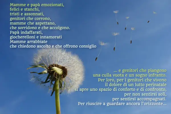 Soffione con semi al vento, metafora del lutto perinatale e del percorso dei genitori verso il conforto e la speranza.