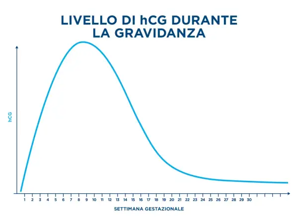 Grafico che mostra l'andamento del beta hCG durante la gravidanza, con un picco intorno alla 9-10 settimana.